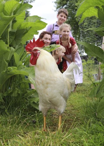 Familie auf dem Bauernhof demeter Sommer Rosenheim